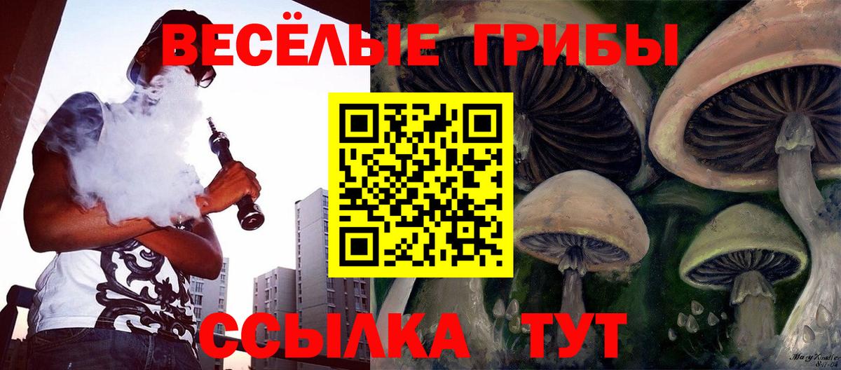 Галлюциногенные грибы Cubensis Елабуга
